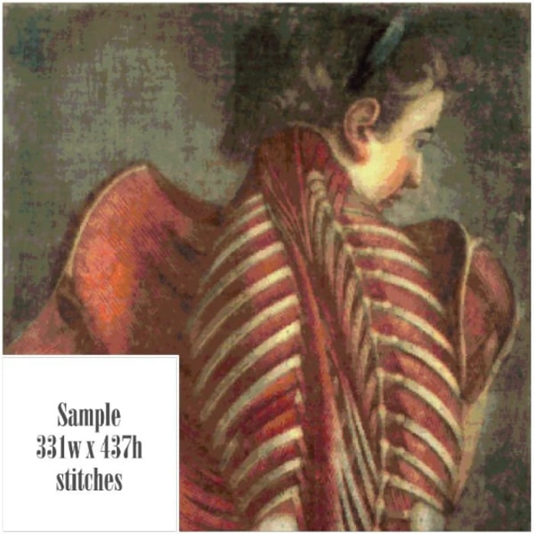 PDF Counted Vintage Cross Stitch Pattern | Muscles of the Ba - Inspire ...