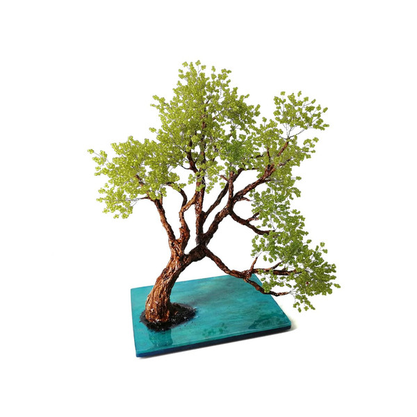 New-Zealand-tree-for-sale-exclusive .jpg