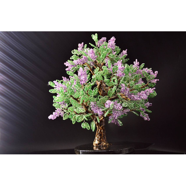 Realistic-bonsai-tree-buy.jpg