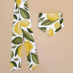 Lemons SET of 2 : Doggie Bandanas and  Hair Ties for the fashionable Dog-Mom, dogs and cats bandana, accessories for dog