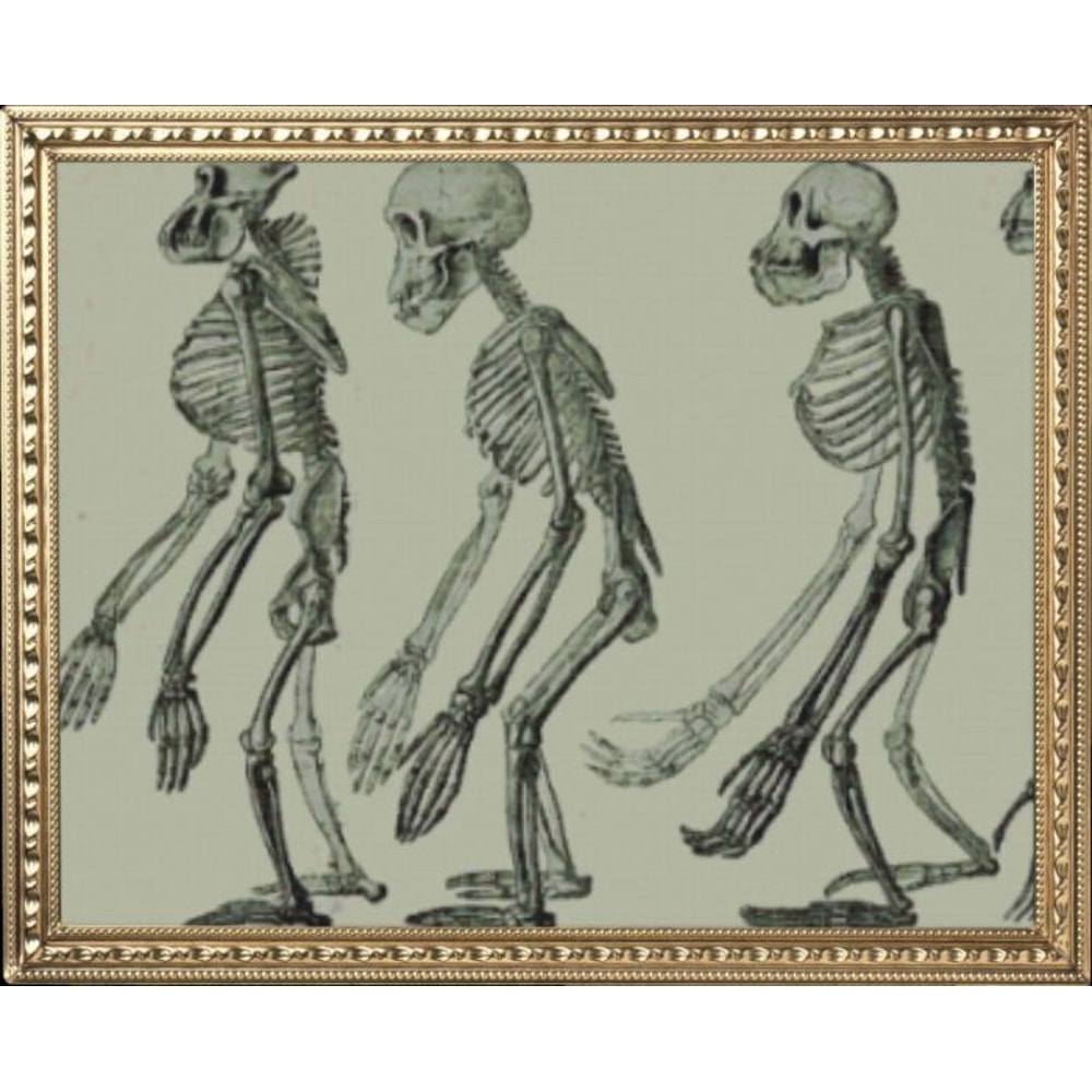 my_photo_metal-62 (2).jpg