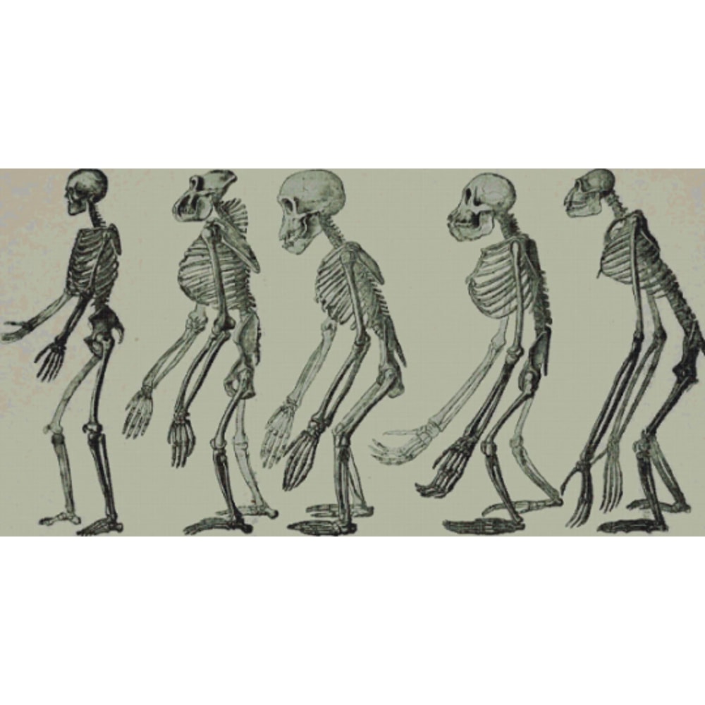 Без названия (4).png