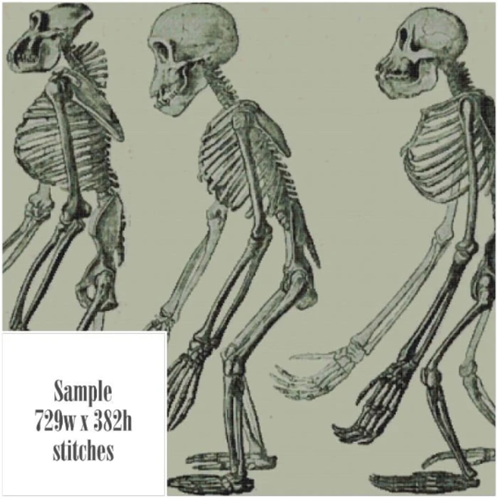 Без названия (5).png