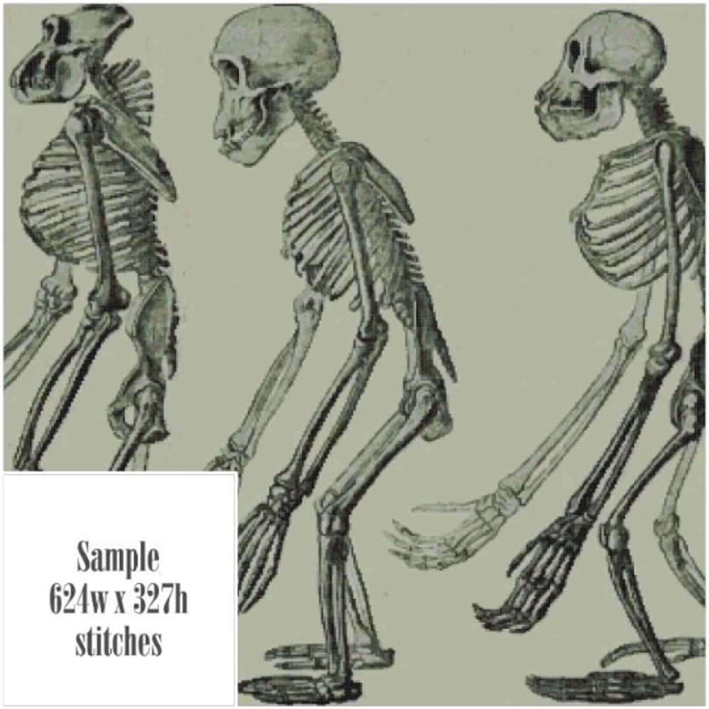 Без названия (6).png