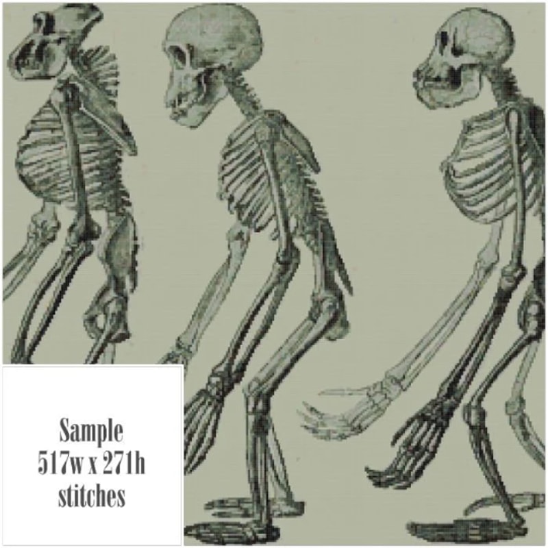 Без названия (8).png