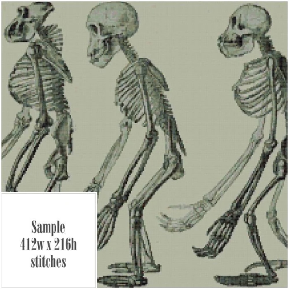 Без названия (9).png