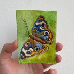 ACEO watercolor original art butterfly Card Miniature wall decor aceo painting animal art 2.5x3.5 inches gift