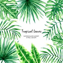 Watercolor Tropical Leaves Tropical Greenery Clipart PNG Monstera Palm Jungle Plants