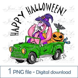 Flamingo Halloween Green Car 1 PNG file Happy Halloween clipart Funny Halloween Sublimation Funny flamingo Download