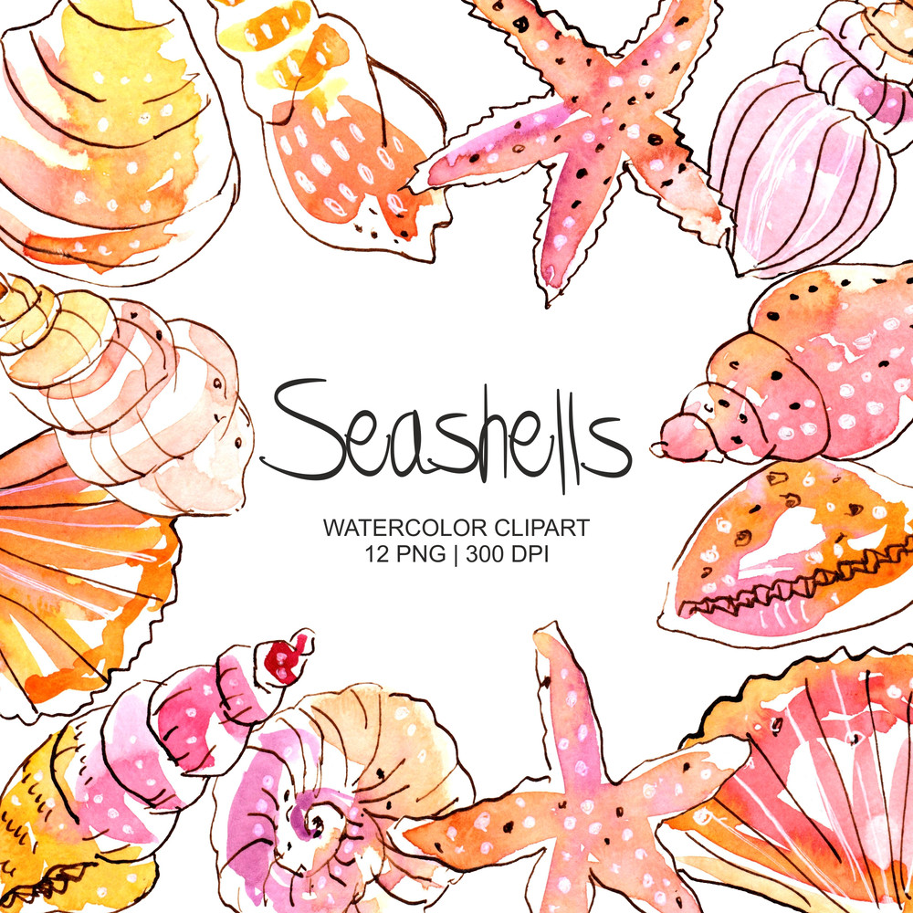 Seashells_preview_1.jpg