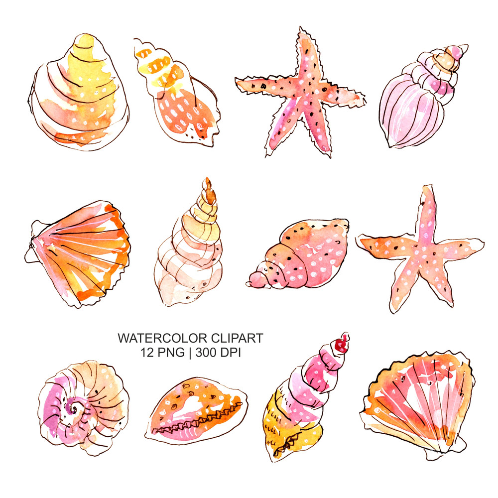 Seashells_preview_2.jpg