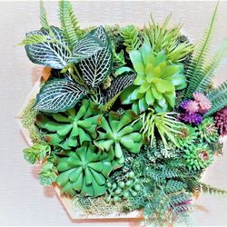 Artificial succulent and plant wall art, Fake succulents in frame, Framed succulents wall decor, Faux plants wall decor