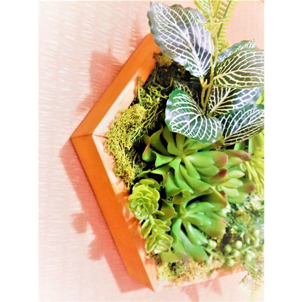 Framed-artificial-succulents-wall-decor-4.jpg