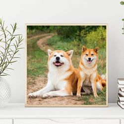 Japanese dogs Akita Inu and Shiba Inu on a rural road. Wall art, dogs photography print, Digital download. #03 +Bonus!