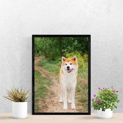 Japanese dogs Akita Inu on a rural road. Wall art, dog photography print, Digital download. #05 +Bonus!