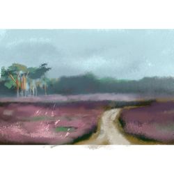 Heather art Digital drawing Heather field art The Netherlands Landscape