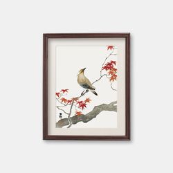 japanese bird on maple - japandi wall art, 1900s