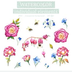 Watercolor Illustration set Of Roses and bees, Floral Clipart PNG and Patterns