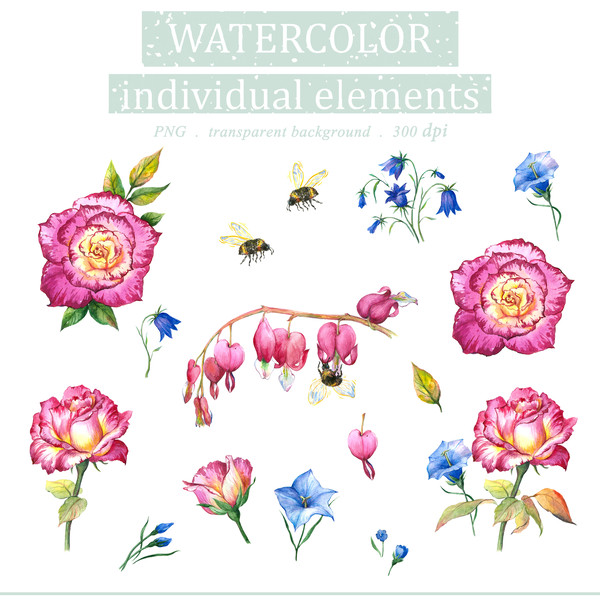 Watercolor Illustration set Of Roses and bees,  on white.jpg