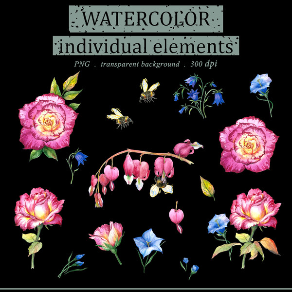 Watercolor Illustration set Of Roses and bees on black.jpg