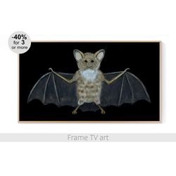 Samsung Frame TV Art Halloween, Frame TV Art Bat, Frame tv art Halloween bat, Frame TV Art Fall digital download | 571
