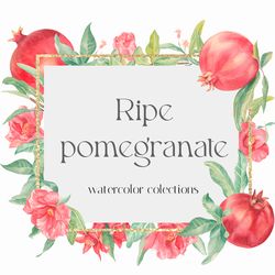 Ripe pomegranate clipart -Watercolor clipart