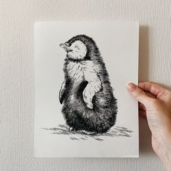 Cute Baby Penguin, graphic sketch on paper, size 6,5"x8,8"