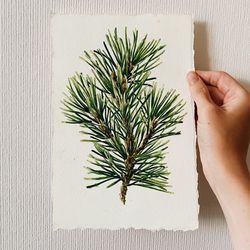 Pine branch, original watercolor illustration, size 5"x8"