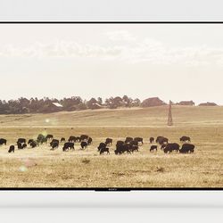 Samsung Frame TV Art