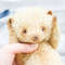 handmade-pattern-teddy-bear-with-sweater-cm.jpg