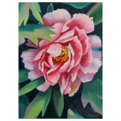 peony art oil painting original art on cardboard flowers