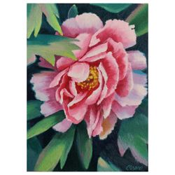 Peony Art Oil Painting Original Art On Cardboard Flowers