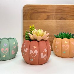 Small cactus and succulent pot with drainage | Little cement planter | Plant pot with saucer | House cute cache pot