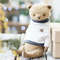 sewing-pattern-teddy-bear-cm.jpg