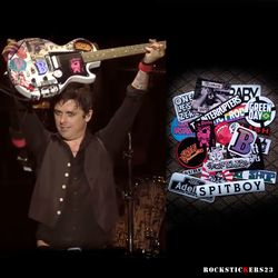 Billie Joe guitar stickers BJ2017 Gibson Les Paul Junior decals Green Day set