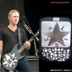 Jerry Cantrell guitar stickers Silver Star G&L Rampage Alice in Chains set 122
