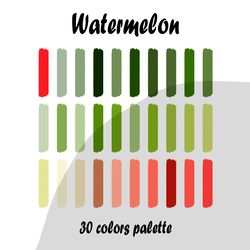 watermelon procreate color palette | procreate swatches