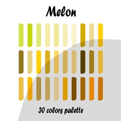 Melon procreate color palette | Procreate Swatches