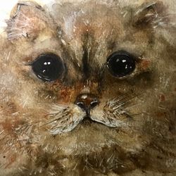 Fluffy cat original watercolour painting