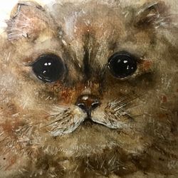 fluffy cat original watercolour painting