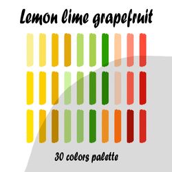 Citrus procreate color palette | Procreate Swatches