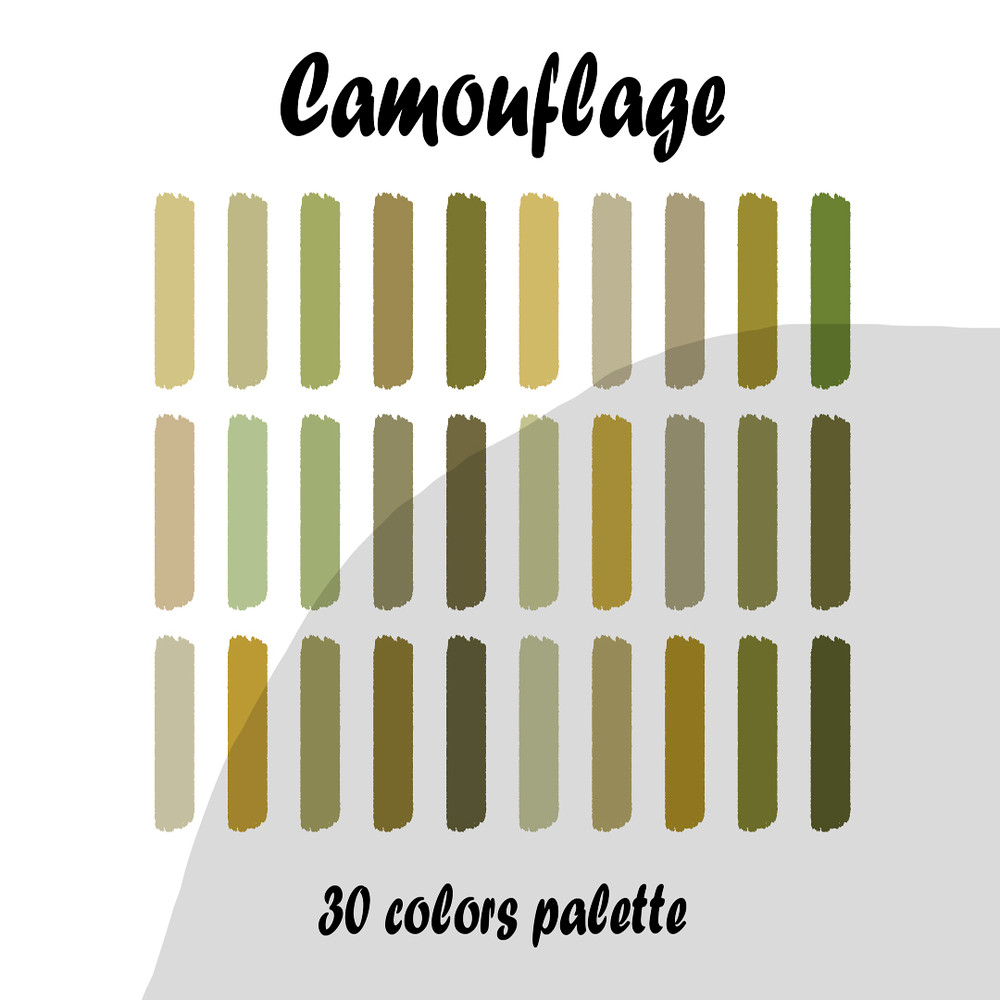 Camouflage2.jpg