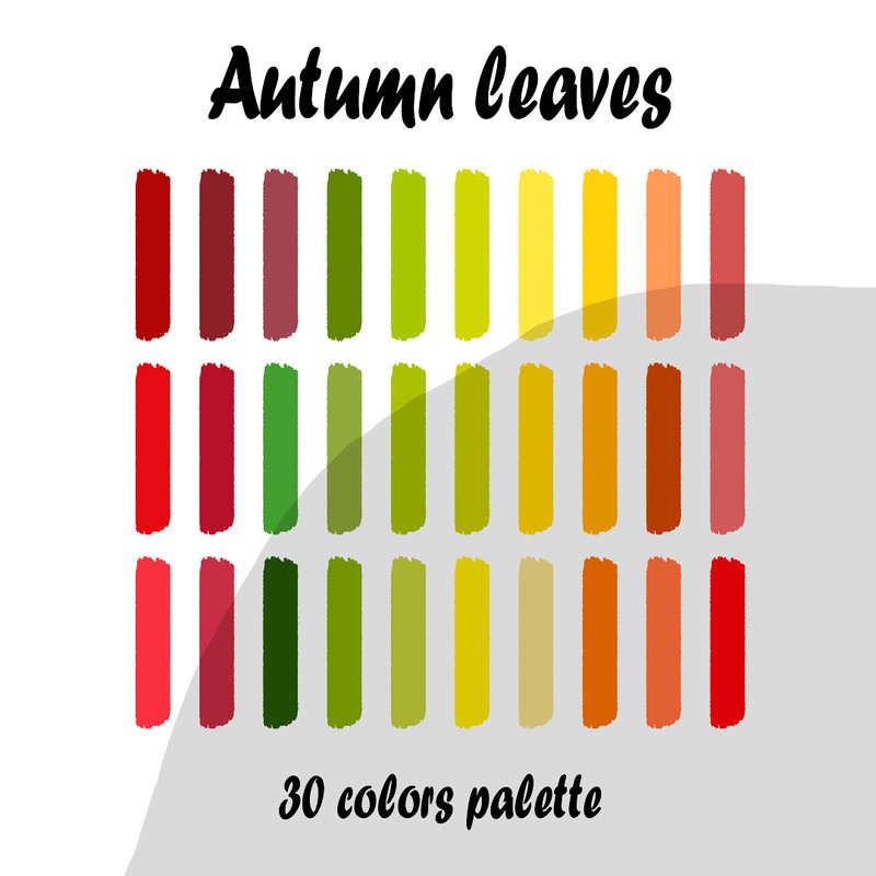 Autumn leaves2.jpg