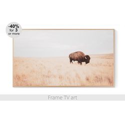 Frame TV Art download 4K, Samsung Frame TV art landscape, Frame TV art photo, Frame TV Art bison farmhouse cow | 539