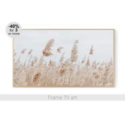 Frame TV Art Download, Samsung Frame TV art Pampas Grass, Frame TV art landscape photo, Frame TV art farmhouse | 529