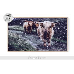 Samsung Frame TV Art Christmas, Frame TV art winter, Frame TV art Highland Cow, Frame TV art farmhouse | 230