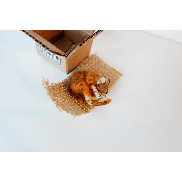 Cat_cookhouse_miniature