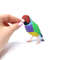Gouldian-Finch-interior-toy-bird4.jpeg