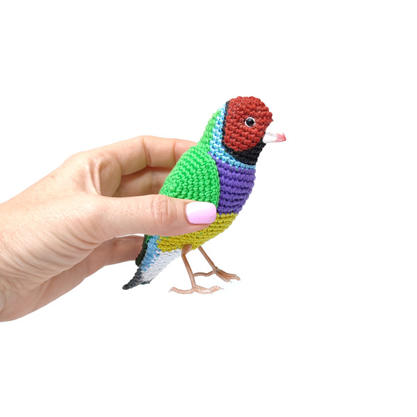 Gouldian-Finch-interior-toy-bird6.jpeg