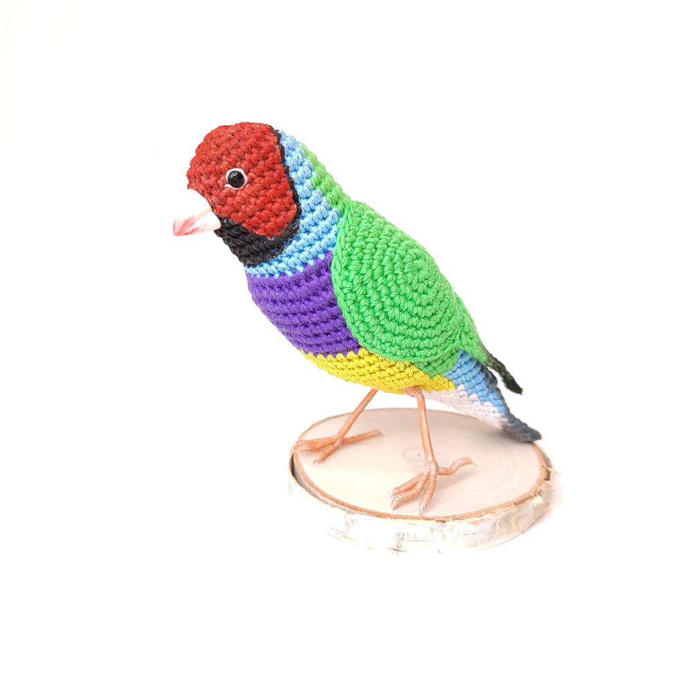 Gouldian-Finches-interior-toy-bird.jpeg